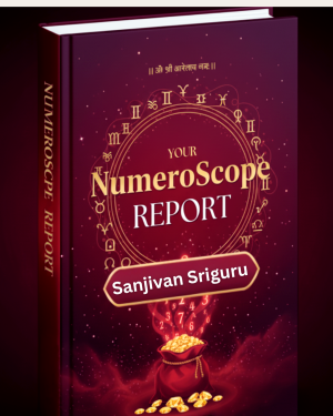 Premium Numeroscope Report